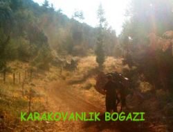 KIRKKUYU YAYLASININ SON GÜLNARLILARI